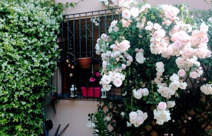Appartamento La Terrazza Di Dora Menaggio Eksteriør billede